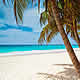 tropical paradise beach photo